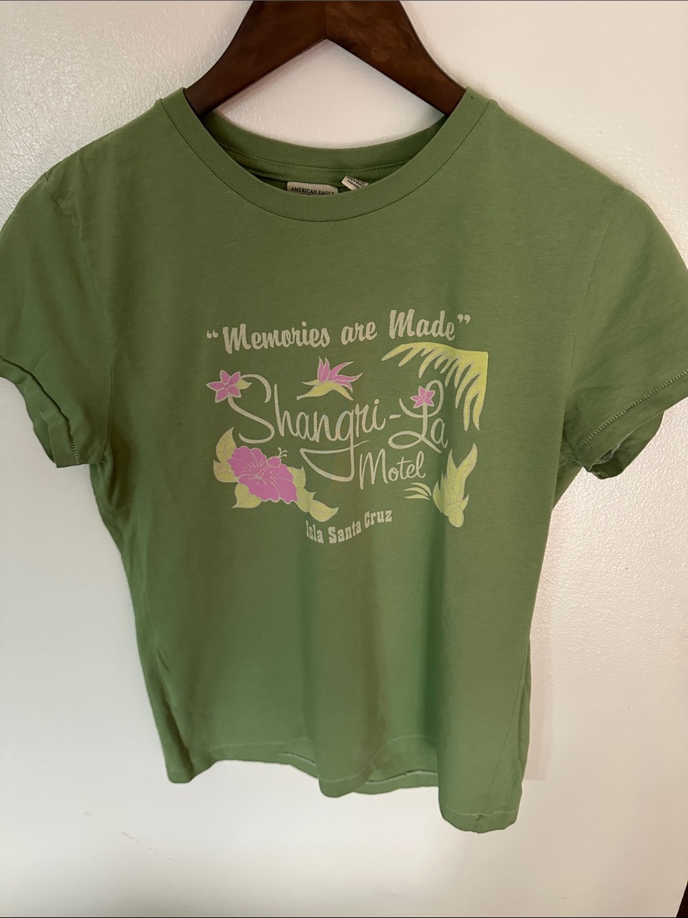 American Eagle Outfitters Green Graphic 'Shangri-La' Tee